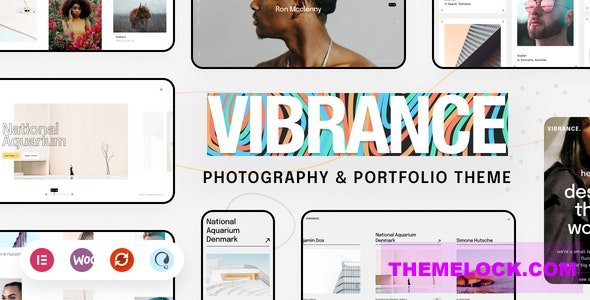 Vibrance v1.0.2 - Photography Theme