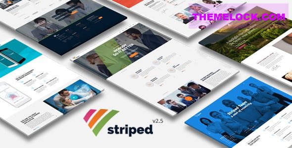 Striped v2.5 - Multipurpose Business and Corporate Theme
