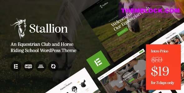 Stallion v1.0 - An Equestrian Club and Horse Riding School WordPess Theme