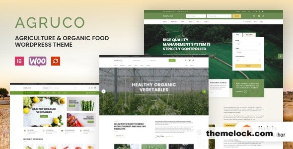 Agruco v1.0.3 - Agriculture & Organic Food WordPress Theme
