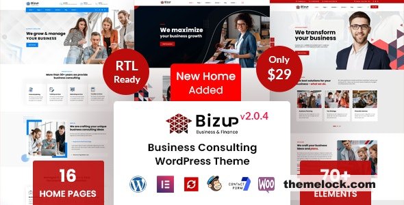 Bizup v2.0.4 - Business Consulting WordPress Theme