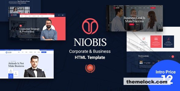 NioBis - Corporate Consulting Template