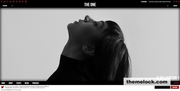 The One v1.4 - One Page HTML Template